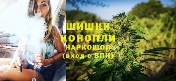 крисы Кодинск