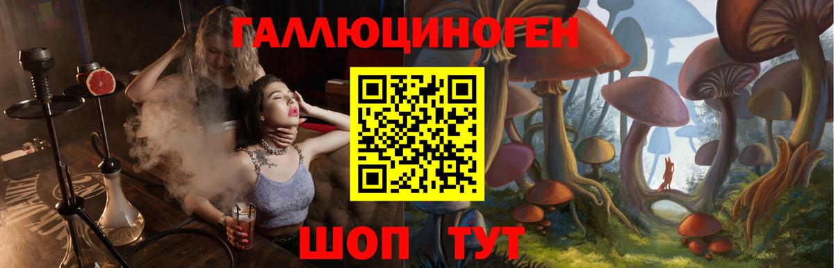Галлюциногенные грибы мицелий Краснодар